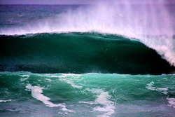SWEET, Dunes Cove photo
