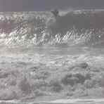 elwha