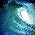 Z X WAVE, Dunes Cove