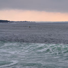 Morning Surf