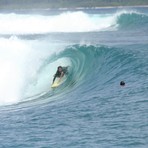 DANIEL MAWKES TUBED AT MACCAS, Macaronis
