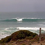 South Oz reef  '12, Victor Harbour