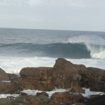 Clean wave at Shipstern Bluff