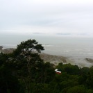 Low Tide