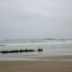 Great spot. Worth giving it a go. :), Streedagh Strand