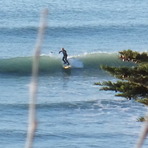 Surfing SUP at the Point, Makorori Point