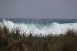 Playa Hermosa, Pichilemu photo
