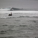 barry out back at pirates cove