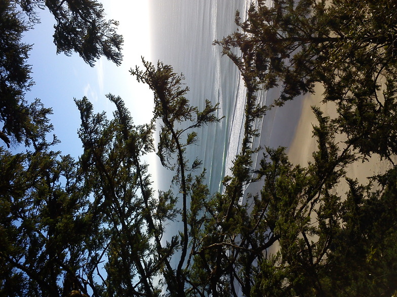 Cape Lookout