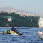 Shippies, Shipstern Bluff