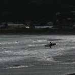 Offshore Lyall, Lyall Bay