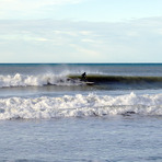 Amberley Beach (Carpark venue)
