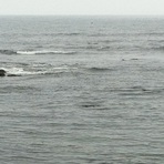 Zona Surf Algarrobo