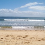 cat bay summer