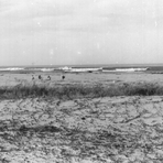 MOUTH OF THE RIVER IN REGENCIA