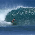 COLOMO, Balangan