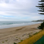 Empty Pines, Wainui Beach (Pines)