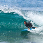 Guillotines South Coast NSW