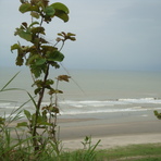 This photo is Himchory in Cox's Bazar 