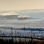 Chalet, from Pines, Wainui Beach (Whales)