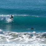 Pines high tide, Wainui Beach (Pines)