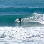 Pines, Wainui Beach (Pines)