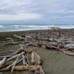 Surf Shack, Waiapu River