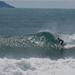 Mariscal Glassy 