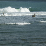 Pirates Cove