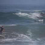 Surfing with dolphins, Puerto Viejo