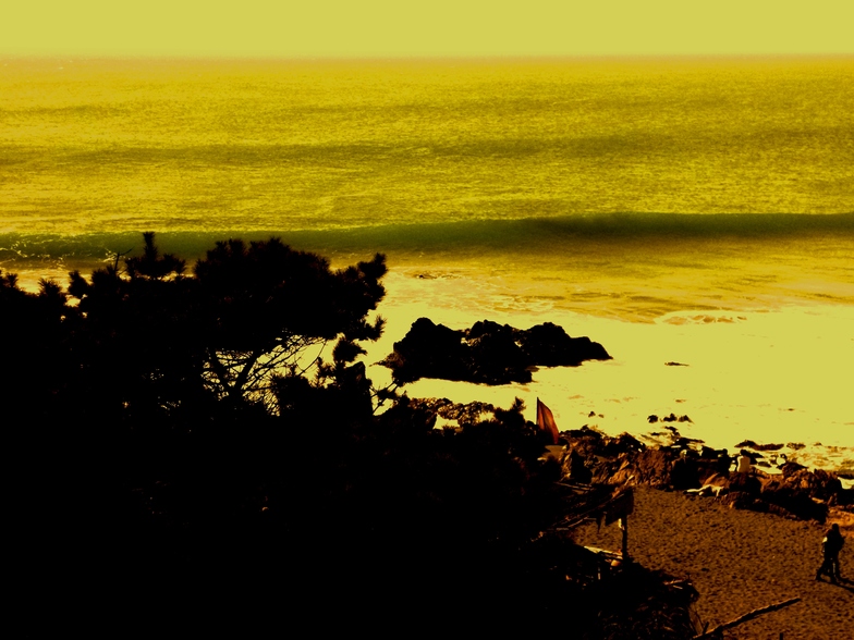 Punta de Lobos