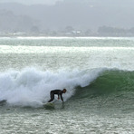 The Reef, The Reef (Napier)