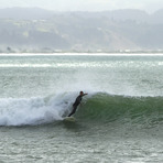 The Reef, The Reef (Napier)