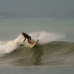 The Reef, The Reef (Napier)