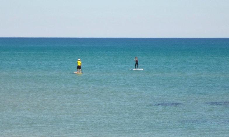 Condiciones normales..., La Mata
