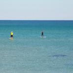 Condiciones normales..., La Mata (Torrevieja)