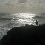 West Coast Big Swell, Charleston