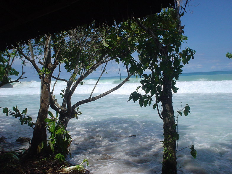 king tide, Rubio