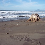 Nesika Beach