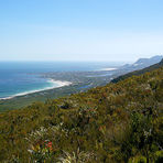 Bettys Bay
