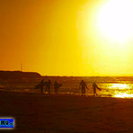 Surfistas en el Atardecer, Pichilemu