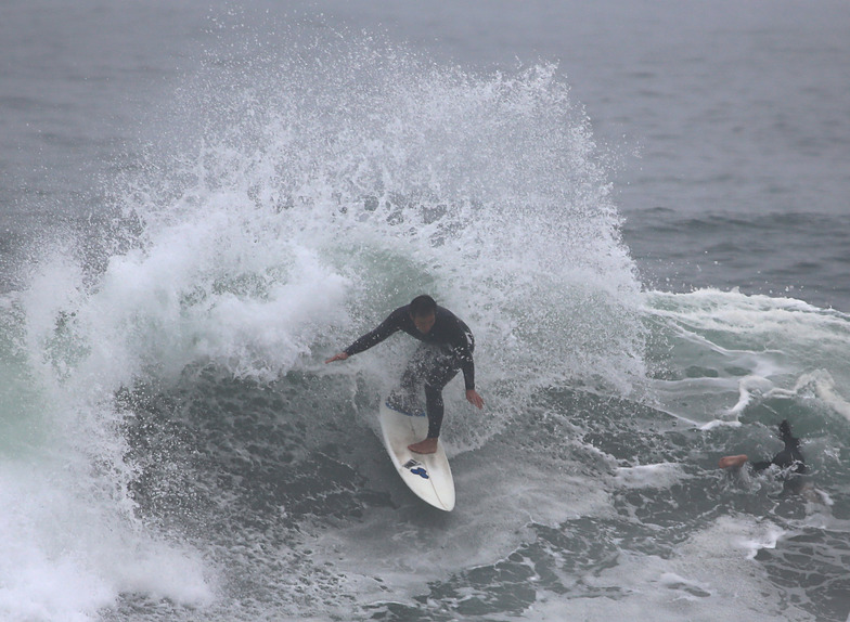 Unknown, Puerto Viejo
