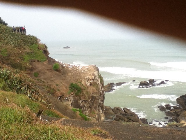 Wave break, Muriwai Beach