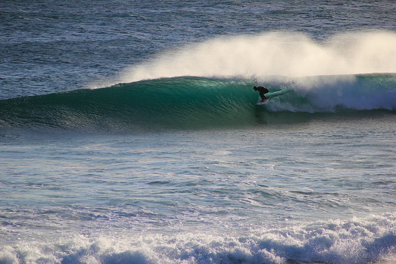 Unknown, Cape Paterson