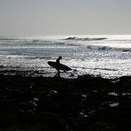 El Conquistador