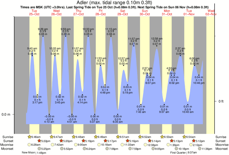 tide graph for Adler near Adler - Mzymta River surf break
