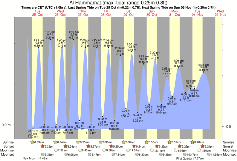 tide graph for Al Hammamat near Hamamet ( Le Port) surf break