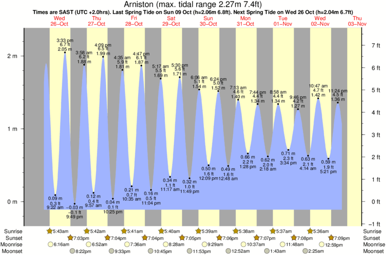 tide graph display