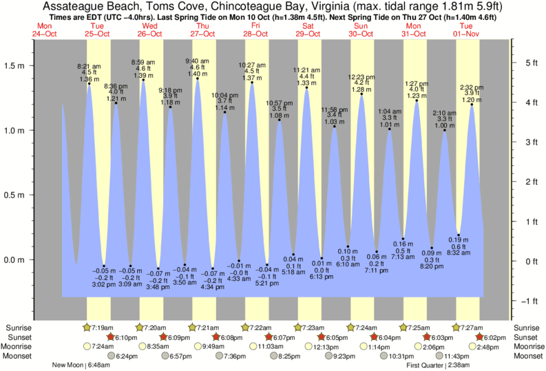 tide graph for Assateague Beach, Toms Cove, Chincoteague Bay, Virginia near Out Front surf break