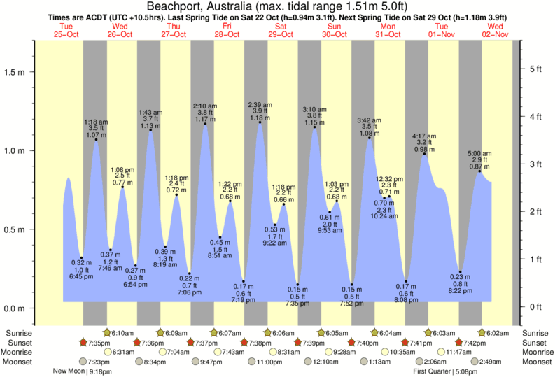 tide graph for Beachport near Beachport surf break